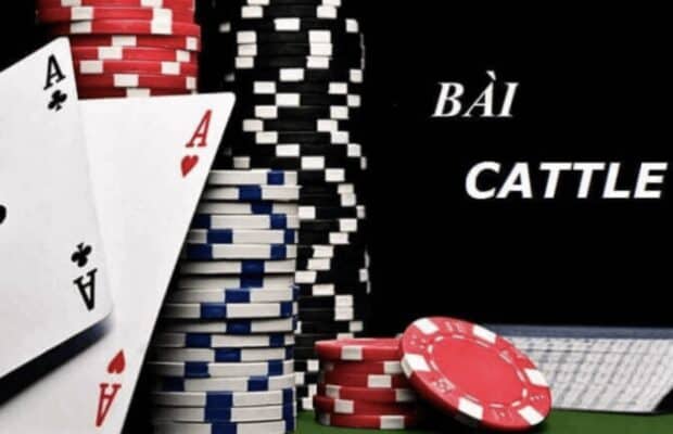 Bài cát tê là gì