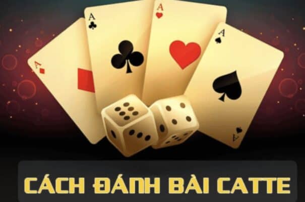 Hướng dẫn chi tiết cách chơi bài Catte 