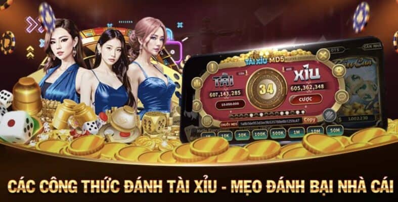 soi cầu tài xỉu bắt bài cực chuẩn